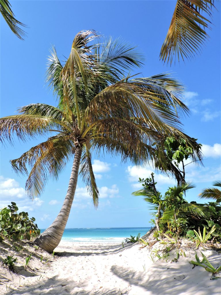 Is Flamenco beach in Culebra worth the hype ? - Traveling with Aga